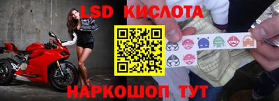 apvp Тулун