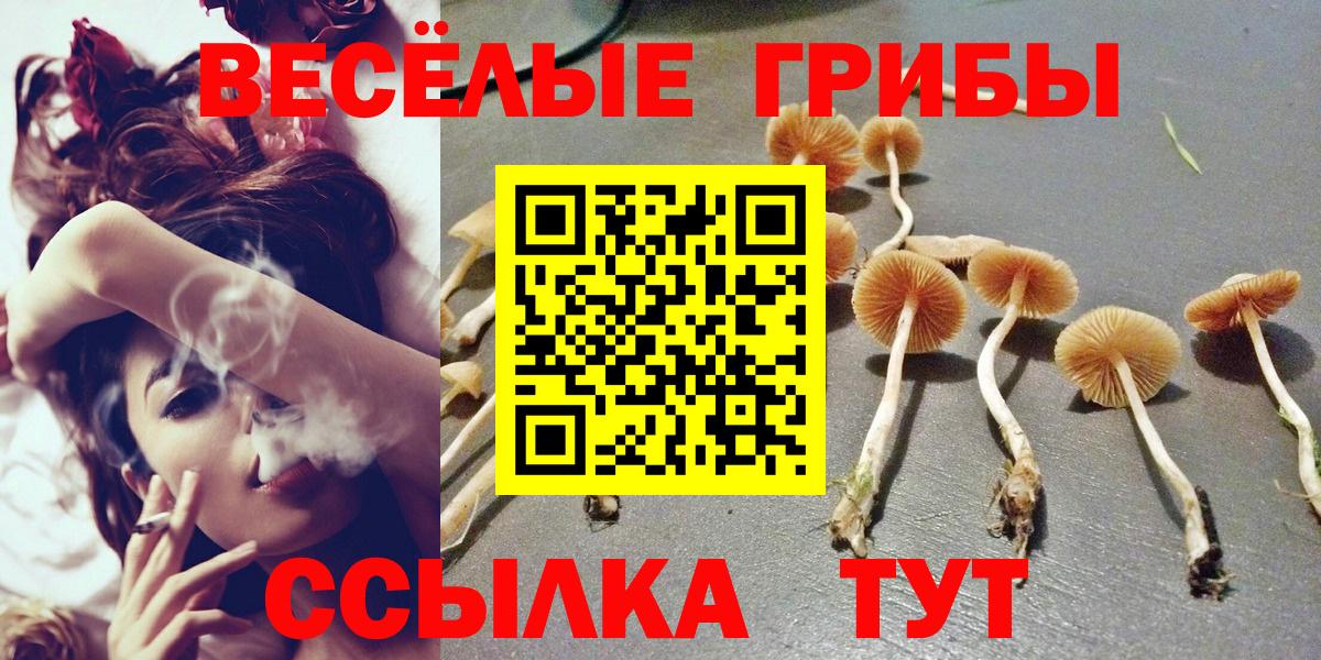 Набережные Челны  Псилоцибиновые грибы мицелий  Вход с VPN 