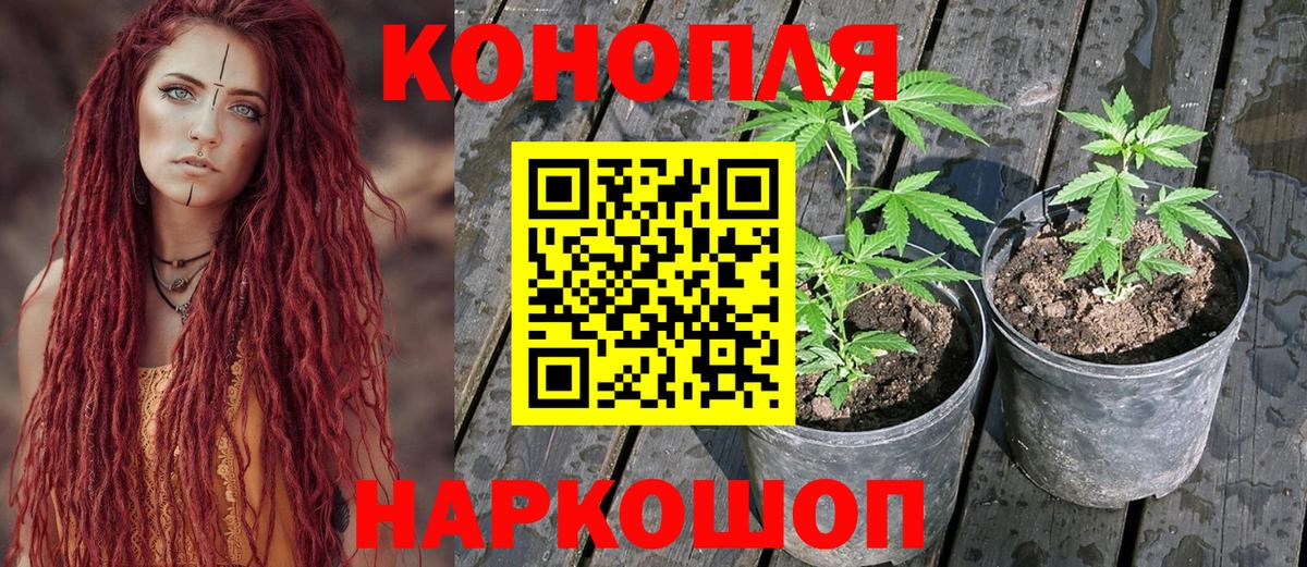 Шишки марихуана VHQ Набережные Челны